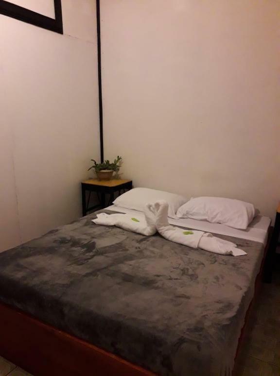 Hostel California Monteverde Екстериор снимка